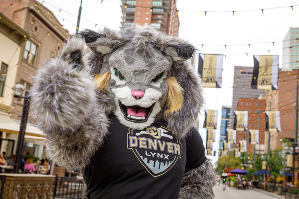 Photo of Mylo the Lynx