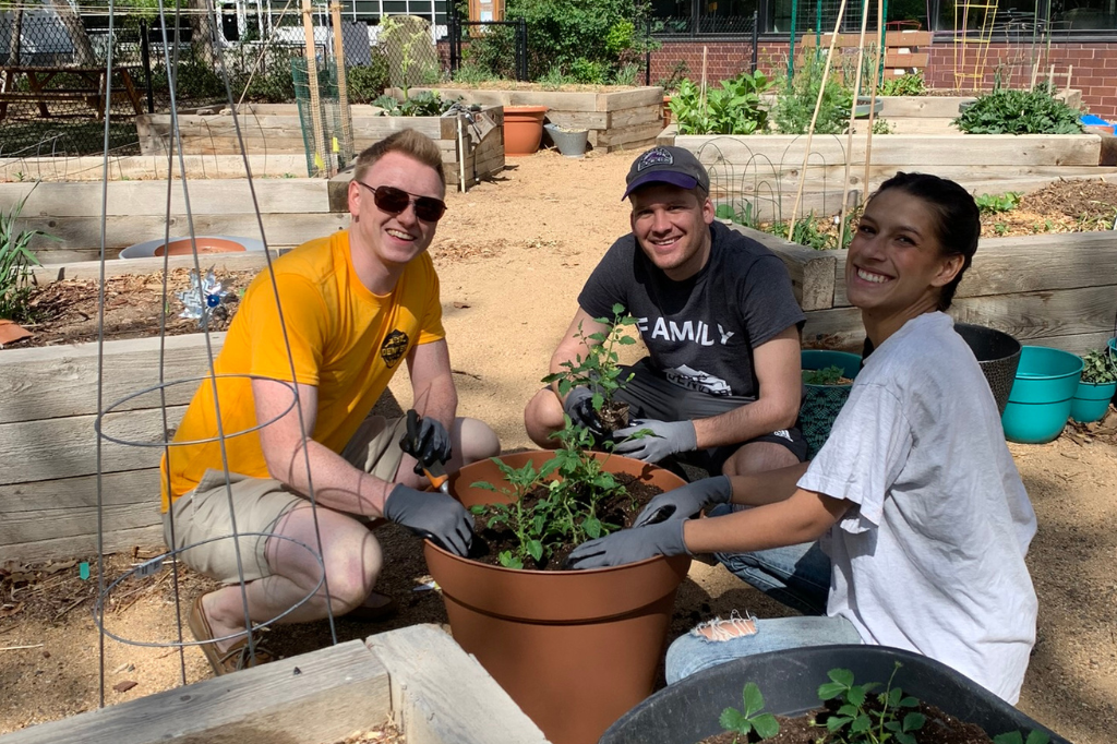 Community Garden